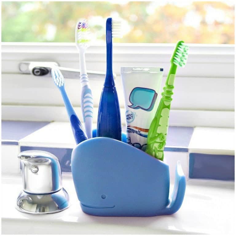 ארגונית כלי צחצוח שיניים לוויתן