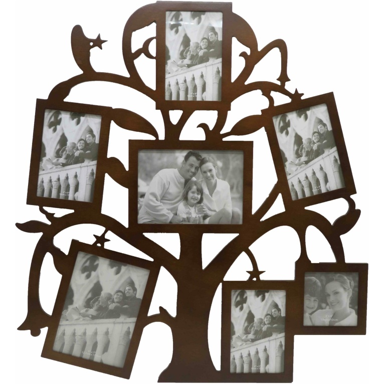 חבצלת - עץ תמונות משפחה, 7 תמונות
