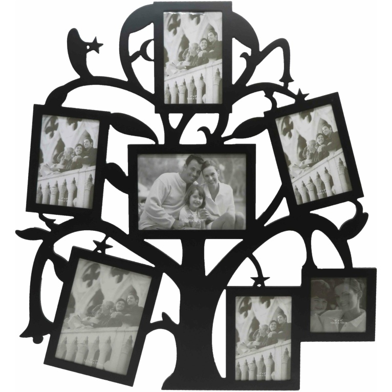 חבצלת - עץ תמונות משפחה, 7 תמונות