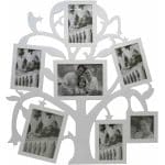 חבצלת - עץ תמונות משפחה, 7 תמונות