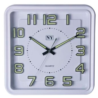 ny2196-1