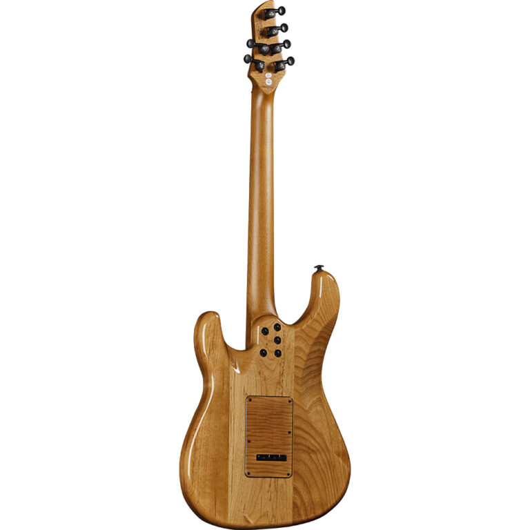 EKO Aire 601 Lignum, גיטרה חשמלית עם תיק