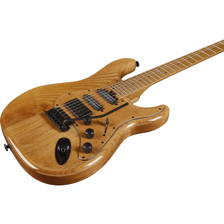 EKO Aire 601 Lignum – גיטרה חשמלית עם תיק
