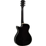 EKO NXT A100ce See Through Black – גיטרה אקוסטית מוגברת