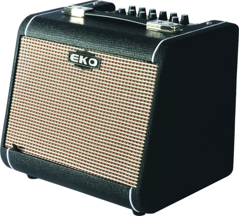 EKO AC60, מגבר לגיטרה אקוסטית 60W