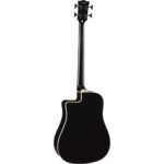 EKO NXT B100e See Through Black – בס אקוסטי מוגבר