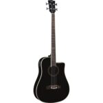 EKO NXT B100e See Through Black – בס אקוסטי מוגבר