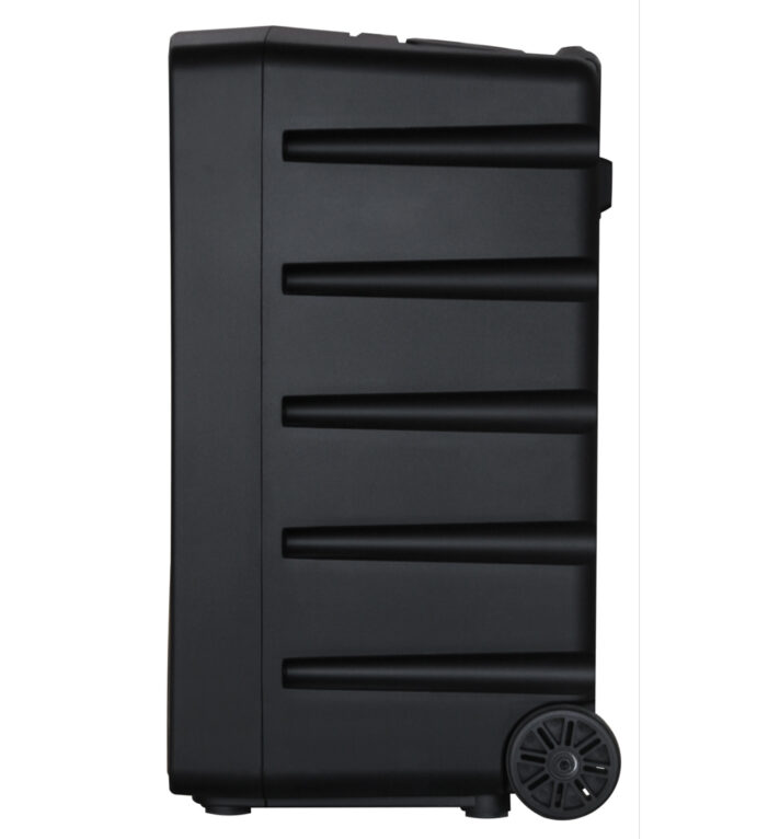 QL Milano QL1000 – מערכת הגברה ניידת 700W עם כיוון טונציה