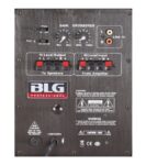 BLG Audio RXA10H40 – מודול מגבר אחורי לסאב