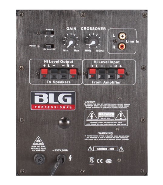 BLG Audio RXA10H40, מודול מגבר אחורי לסאב
