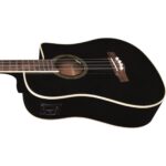 EKO NXT B100e See Through Black – בס אקוסטי מוגבר
