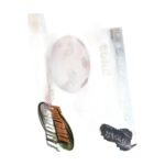 tg-store-241